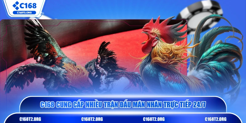 C168 cung cấp nhiều trận đấu mãn nhãn trực tiếp 24/7