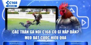Các Trận Gà Nòi C168 Có Gì Hấp Dẫn? Mẹo Đặt Cược Hiệu Quả