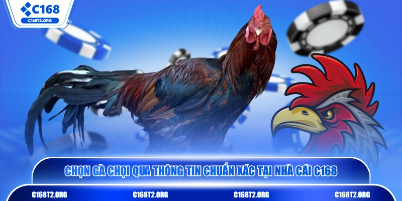 Chọn gà chọi qua thông tin chuẩn xác tại nhà cái C168