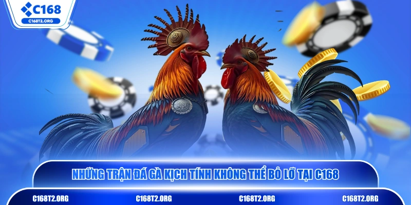 Những trận đá gà kịch tính không thể bỏ lỡ tại C168 